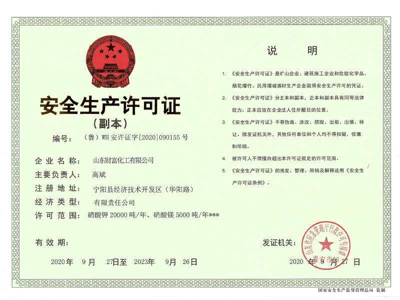 Copy of Fortune Safety Production License