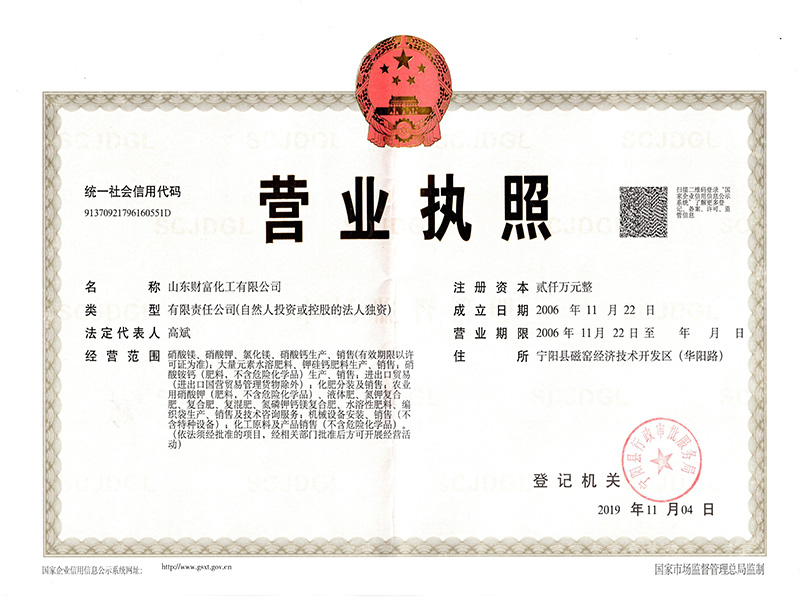 Wealth Business License