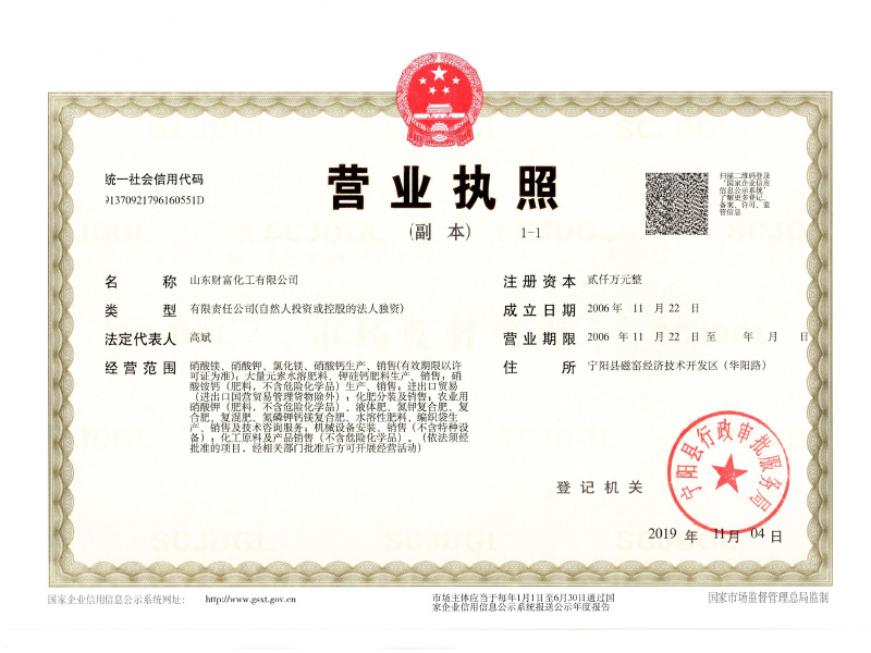 Copy of Wealth Business License